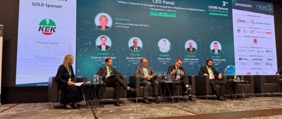 Zëri i KEK në Panelin e CEO-ve – Vizion për të Ardhmen e Energjisë