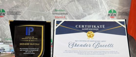 AIP vlerëson KEK-un për avancimin e transparencës dhe qasjes në dokumente publike